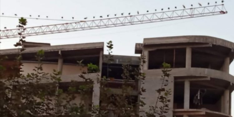 العرض الأول قد بدأ رغم أنف الجميع …