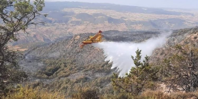 تطورات جديدة بشأن حريق غابتي “جبل عمار تسكارت” و”بويدار” ضواحي خنيفرة