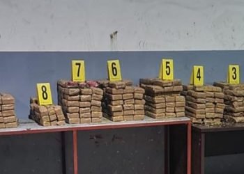 إحباط محاولة تهريب 350 كيلوغرام من الشيرا عبر ميناء طنجة المتوسط