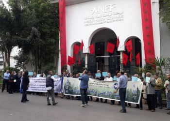 تنسيقية الهيئات الغابوية تستنكر تجاهل الوكالة لانتظارات الموظفين ونداءات ممثليهم