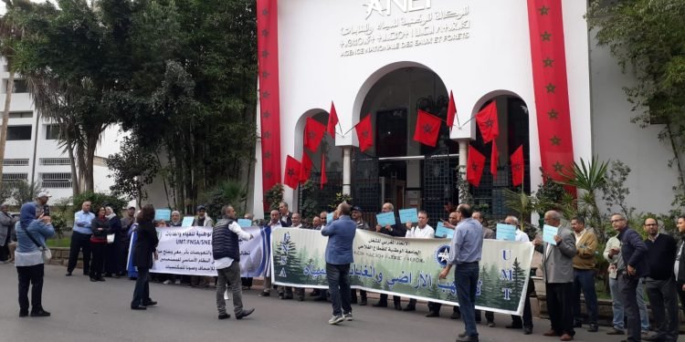 تنسيقية الهيئات الغابوية تستنكر تجاهل الوكالة لانتظارات الموظفين ونداءات ممثليهم