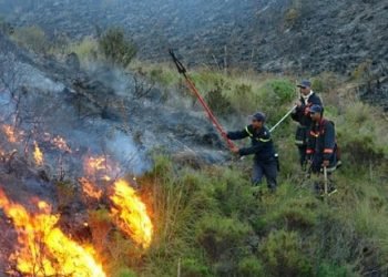 الوكالة الوطنية للمياه والغابات تكشف خريطة المناطق المهددة بالحرائق