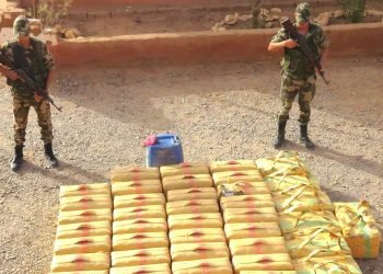 الجيش يحبط محاولات تهريب 2794 كيلو من الشيرا في عمليات متفرقة خلال يوليوز الفارط