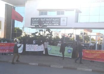 بدعم من الجامعة الوطنية للقطاع الفلاحي..فلاحون يحتجون أمام مندوبية أملاك الدولة بالقنيطرة