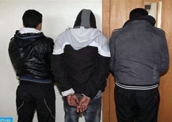 تنسيق أمن يطيح بثلاثة متورطين في التهريب الدولي للمخدرات والمؤثرات العقلية