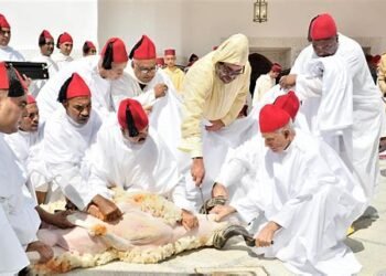 ملك البلاد يهيب بالمغاربة عدم إقامة شعيرة ذبح أضحية العيد هذه السنة
