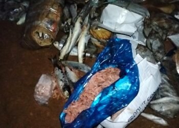 القنيطرة..مداهمة مخزن سري يؤدي إلى حجز ما يقارب طنين من السمك الفاسد