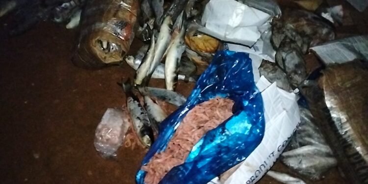 القنيطرة..مداهمة مخزن سري يؤدي إلى حجز ما يقارب طنين من السمك الفاسد