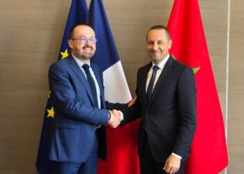 “التهراوي” يلتقي بنظيره الفرنسي لتبادل الخبرات في مجال الصحة