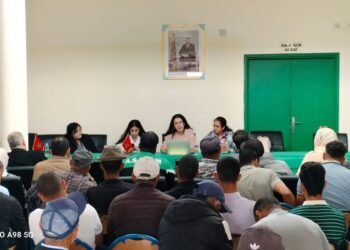 لقاء تكويني لفائدة شباب حاملي أفكار مشاريع بدائرة بنمنصور