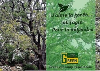 مشروع لتعزيز العدالة البيئية ومواجهة آثار التغير المناخي في سوس والرحامنة وسلا