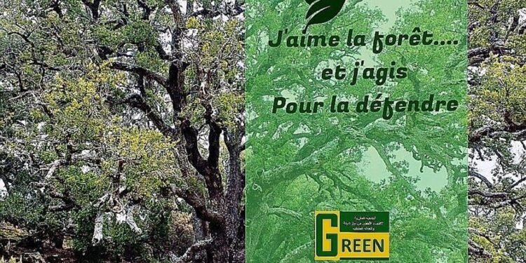 مشروع لتعزيز العدالة البيئية ومواجهة آثار التغير المناخي في سوس والرحامنة وسلا