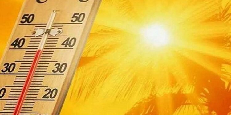 موجة حر قاتلة في أوروبا خلال يونيو تخلف 2300 وفاة وترفع درجات الحرارة إلى مستويات قياسية