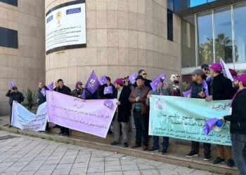 نقابيو الصناعة التقليدية ينتفضون ضد “السعدي” ويعلنون يوم غضب وطني