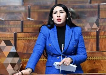 البرلمانية “أتركين” تحذر من الزيوت مجهولة المصدر وتدعو إلى تشديد المراقبة