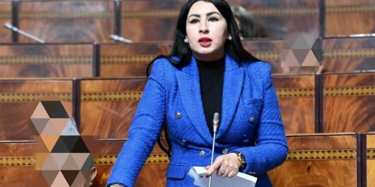 البرلمانية “أتركين” تحذر من الزيوت مجهولة المصدر وتدعو إلى تشديد المراقبة