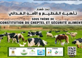 الجديدة تحتضن تظاهرة فلاحية دولية لتعزيز الأمن الغذائي