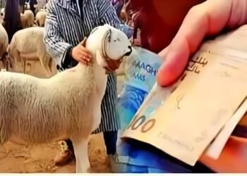 تأجيل محاكمة متهم بالنصب على مواطنين في قضية “أضاحي العيد”